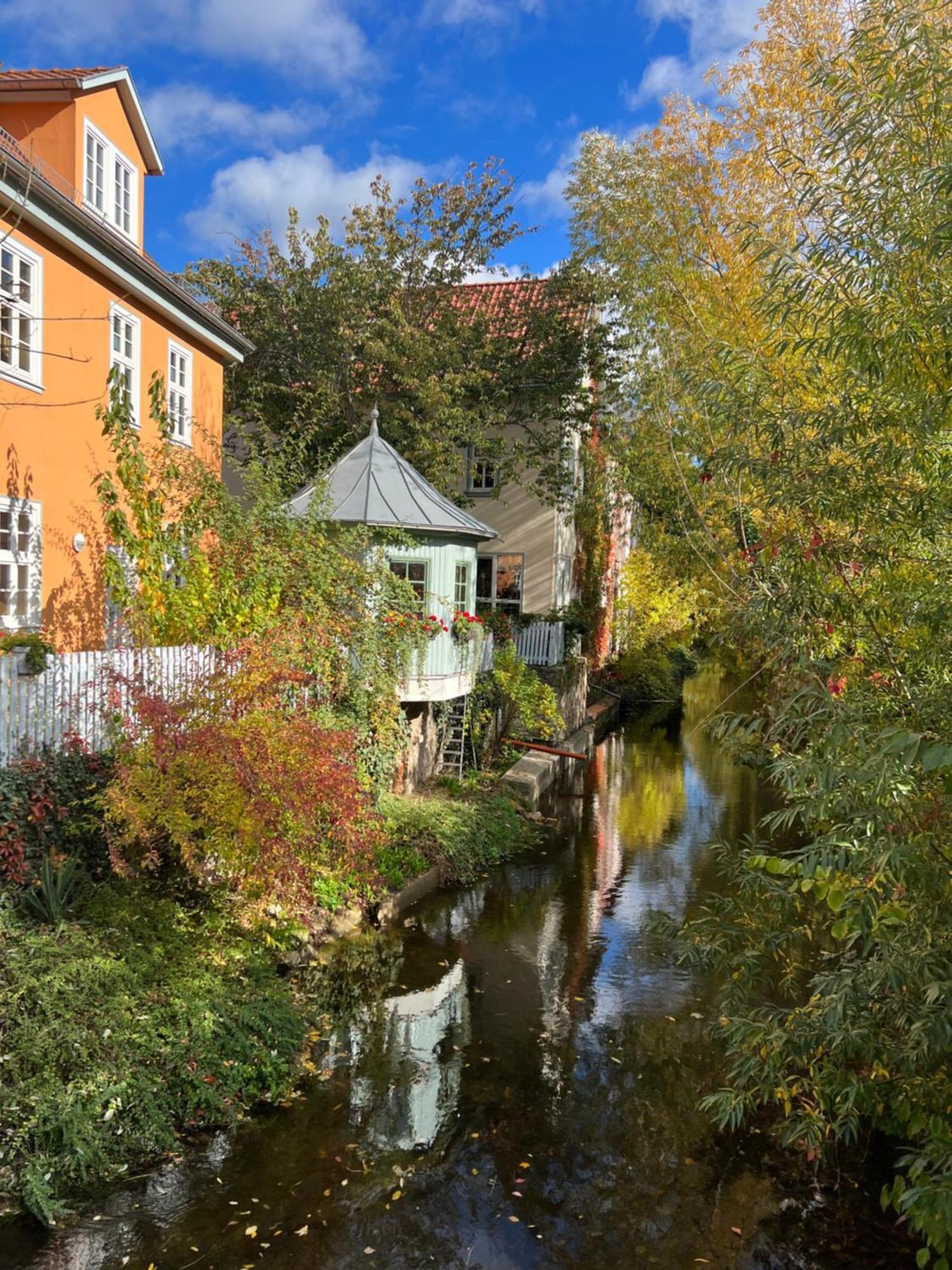 Ferienwohnung Augenblick - Stylisches Apartment In Der Besten Altstadtlage Von Erfurt Dış mekan fotoğraf