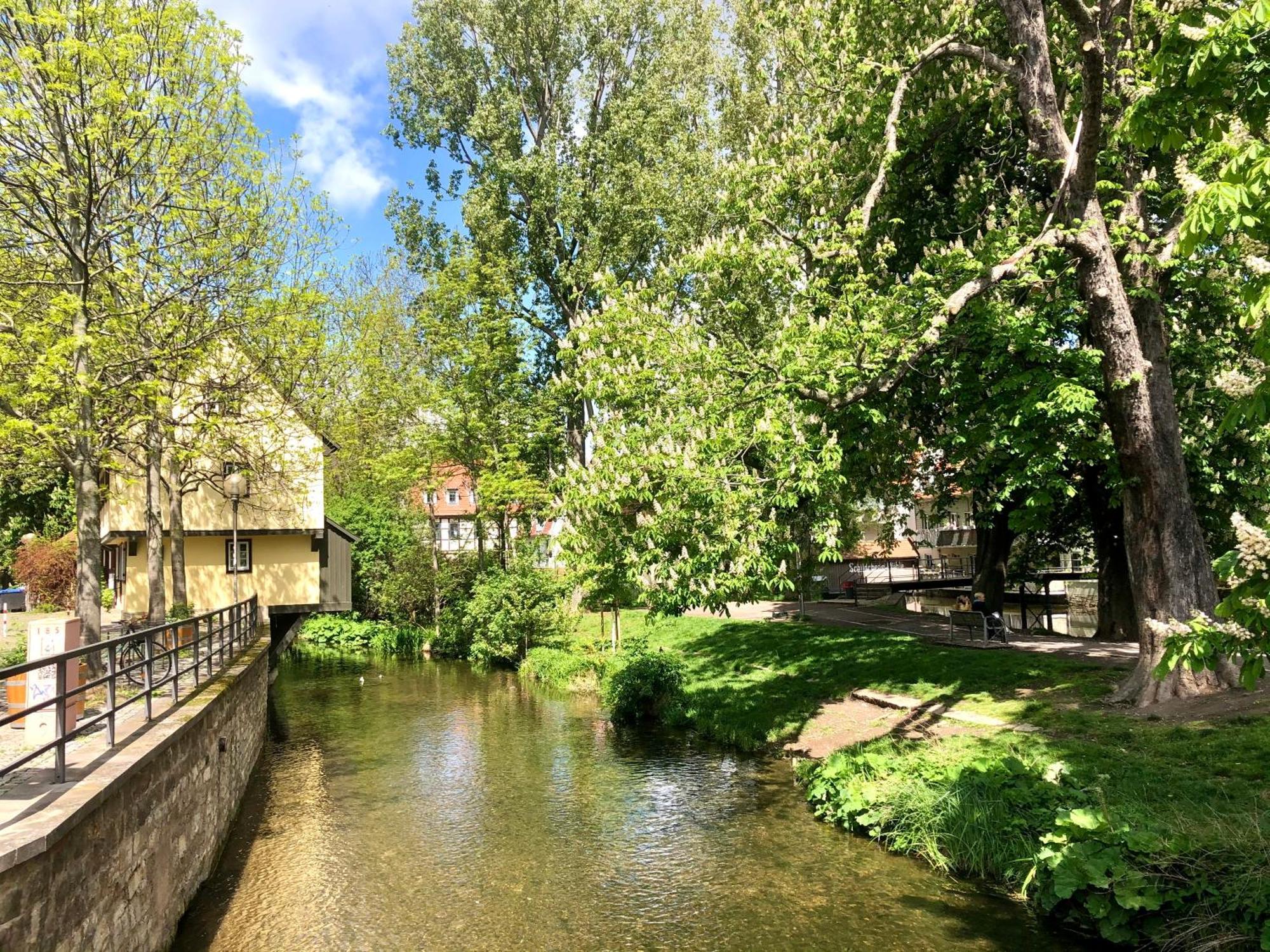 Ferienwohnung Augenblick - Stylisches Apartment In Der Besten Altstadtlage Von Erfurt Dış mekan fotoğraf